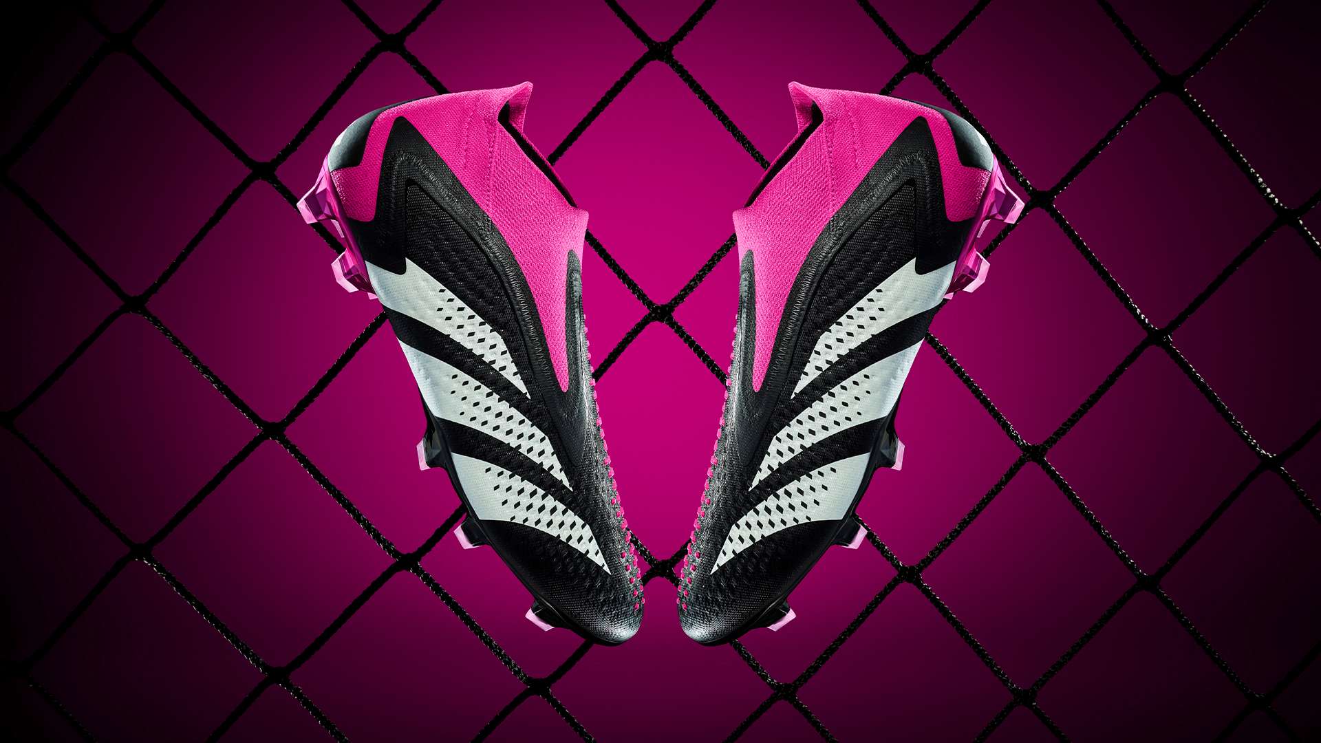 倍感興趣 倍感興趣