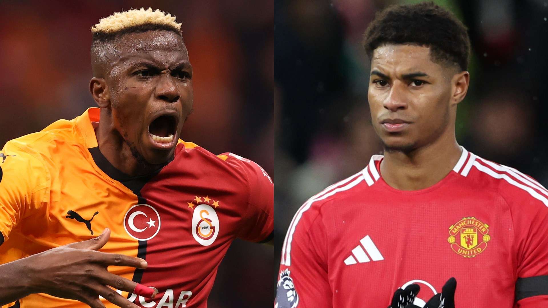 的出色表现 的出色表现